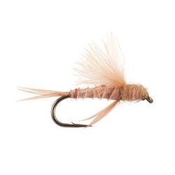 CDC Little Surface Nimph Salmon