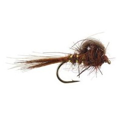 CDC Loop Emerger Brown