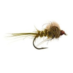 CDC Loop Emerger Olive