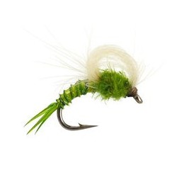 CDC Loopwing Emerger Medium Olive