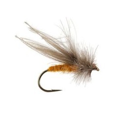CDC Medium Stone Fly