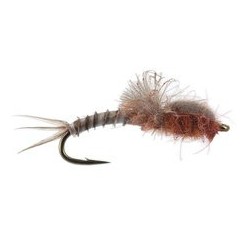 CDC Medium Surface Nimph Brown Reddish