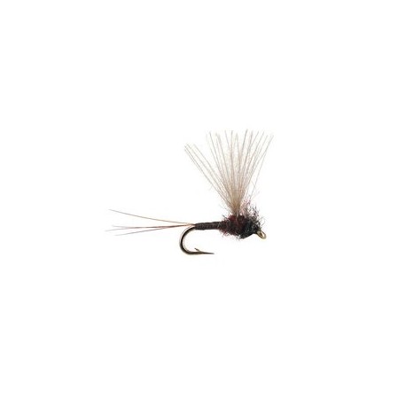 CDC Mini Biot Comparadun Brown