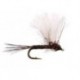 CDC Mini Biot Comparadun Brown Quill