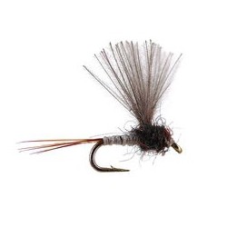 CDC Mini Biot Comparadun Grey