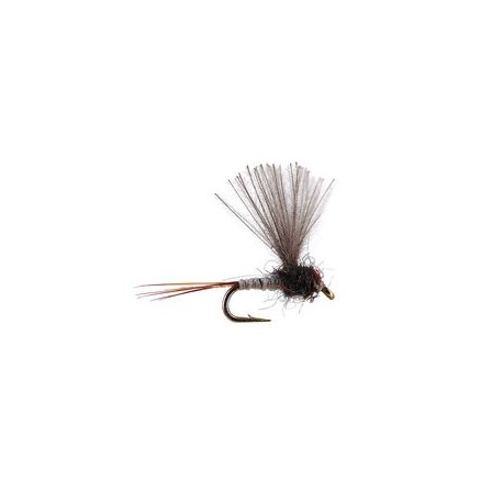 CDC Mini Biot Comparadun Grey