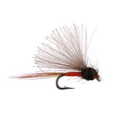 CDC Mini Biot Comparadun Orange