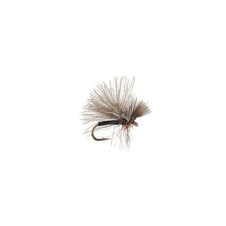 CDC Mini Black Sedge