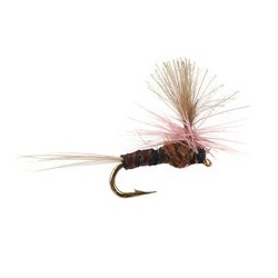CDC Mini Blackbrown Parachute