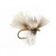 CDC Mini Cream Sedge