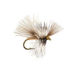 CDC Mini Cream Sedge