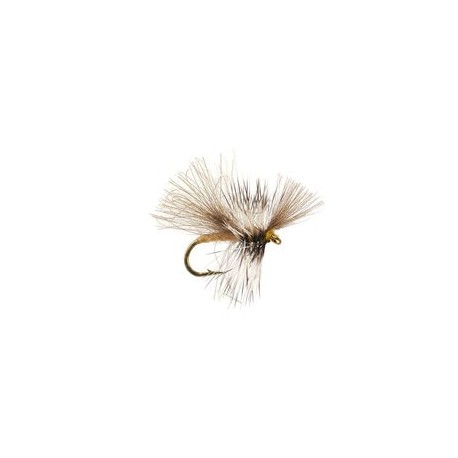 CDC Mini Cream Sedge