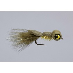 Yellow Belly Boobie Fly