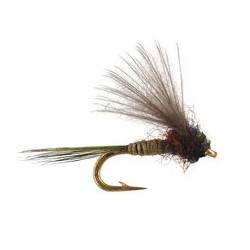CDC Mini Olive Baetis