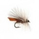 CDC Natural Caddis