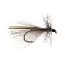 CDC Needle Fly