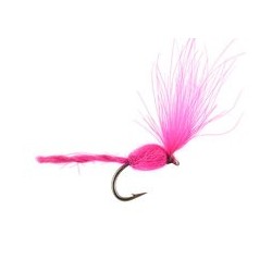 CDC Nyakinama Fucsia