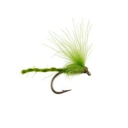 CDC Nyakinama Medium Olive