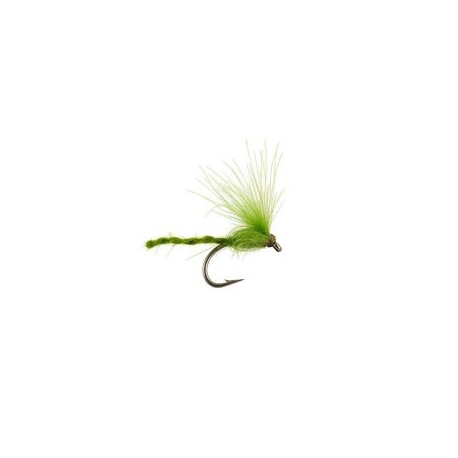 CDC Nyakinama Medium Olive