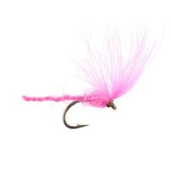 CDC Nyakinama Pink