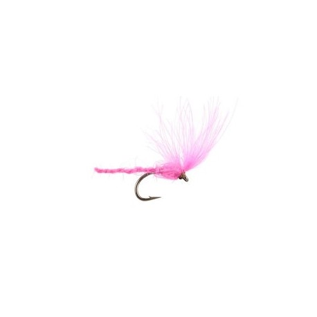 CDC Nyakinama Pink