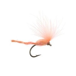 CDC Nyakinama Salmon