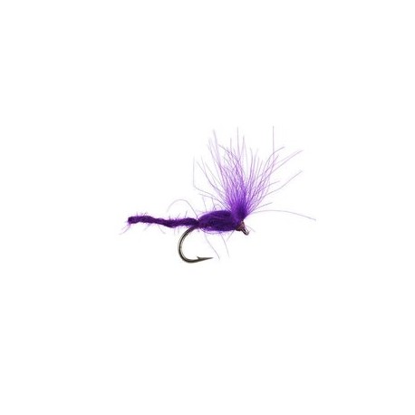 CDC Nyakinama Violet