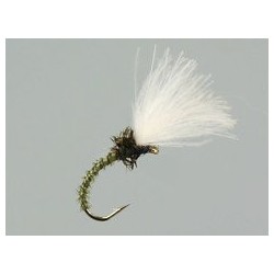 CDC Olive Peacock Classic Suspender