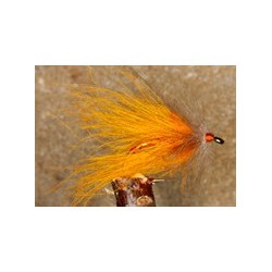 CDC Palmer Orange