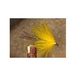 CDC Palmer Yellow