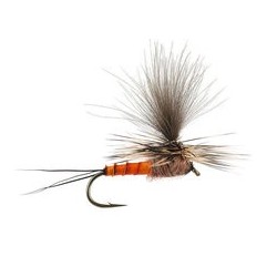 CDC Parachute Brown Drake