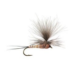 CDC Parachute Pink Cahill