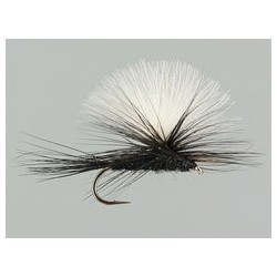 CDC Parachute (Olive Upright) Brown Reddish