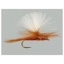 CDC Parachute (Olive Upright) Brown Yellowish