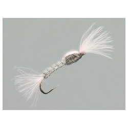 CDC Pink Suspender Silver Ribbed