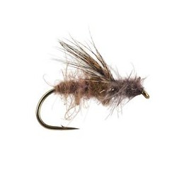 CDC Pupa Drifting Tan