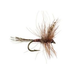 CDC Quill Brown Classic