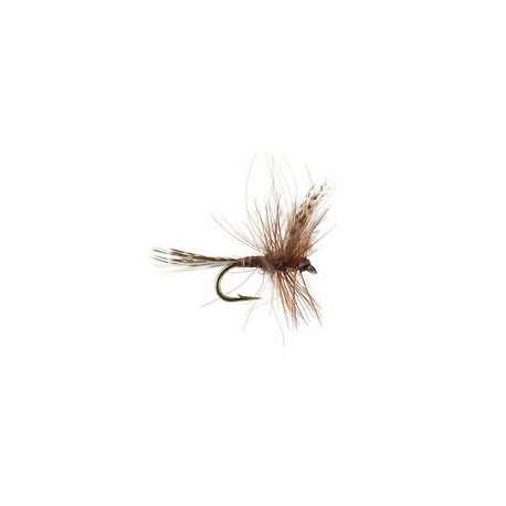 CDC Quill Brown Classic