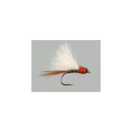 CDC Quill Brown