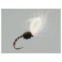 CDC Quill Midge
