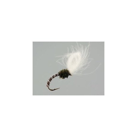 CDC Quill Midge