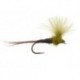 CDC Quill Olive