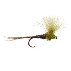 CDC Quill Olive