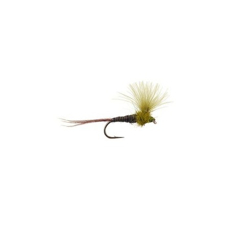 CDC Quill Olive