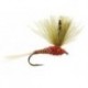 CDC Red Olive Quill