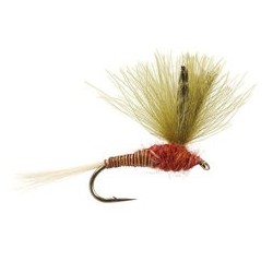 CDC Red Olive Quill