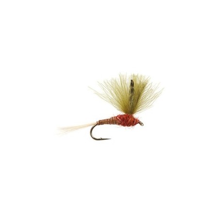 CDC Red Olive Quill