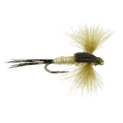 CDC Spent Pale Olive