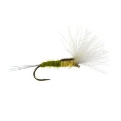 CDC Split Wing Bwo