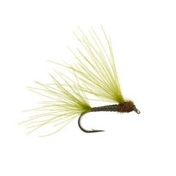 CDC Splitwing Dark Olive